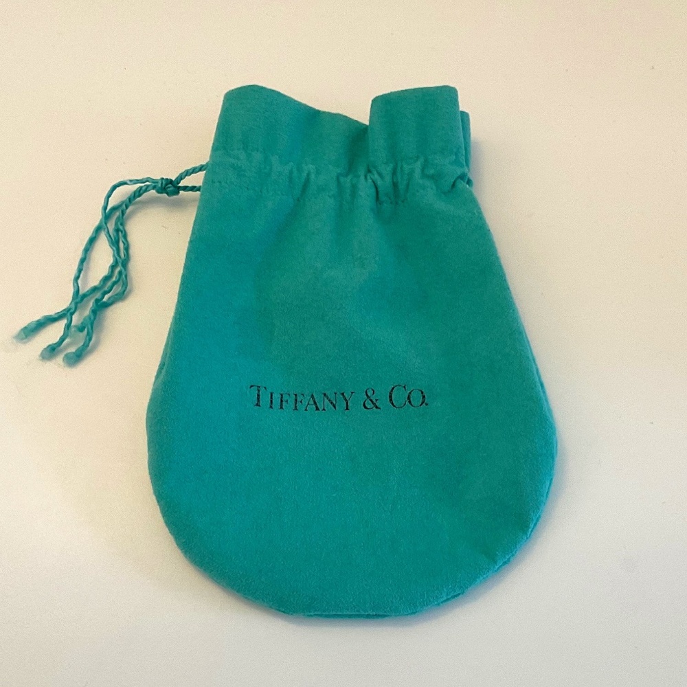 Empty Tiffany Blue Pouch (Large)